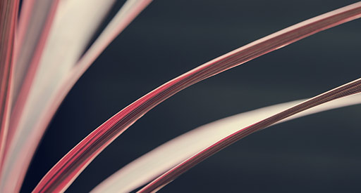 Grupa Wydawnicza Foksal